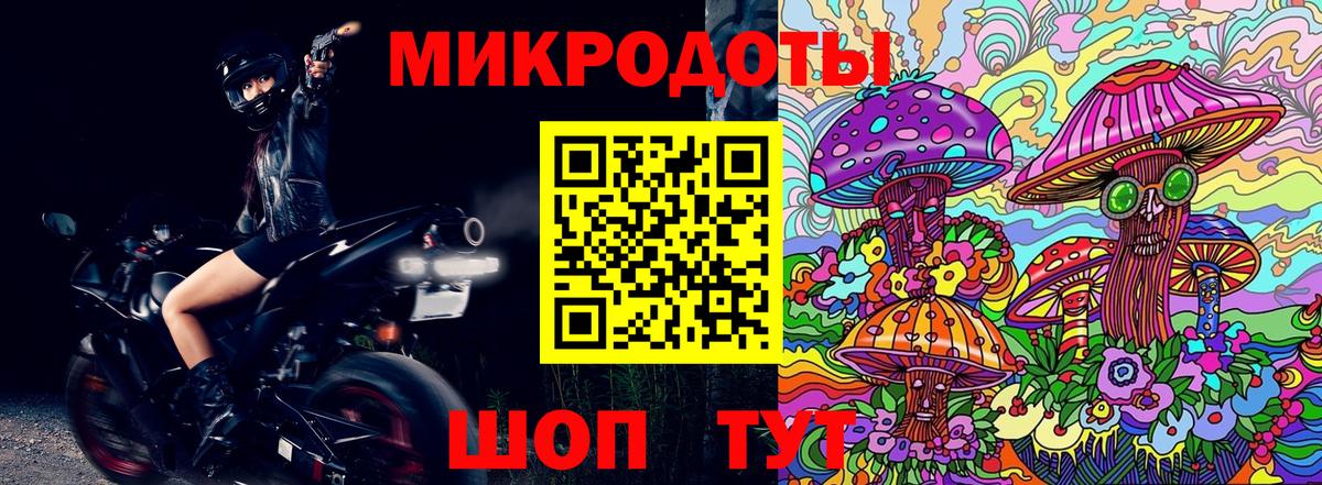 Псилоцибиновые грибы MAGIC MUSHROOMS  Вход с VPN  Великие Луки 